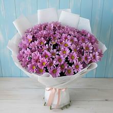 Букет цветов из:  Хризантемы в Заветном Краснодарского края