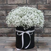 Цветочная композиция из Гипсофила в шляпной коробке #REPLACE_PRED# Заветном Краснодарского края