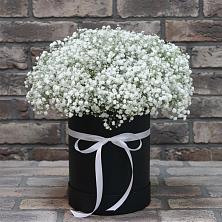 Цветочная композиция из Гипсофила в шляпной коробке в Заветном Краснодарского края