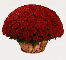 Премиум букет из: Розы в Заветном Краснодарского края